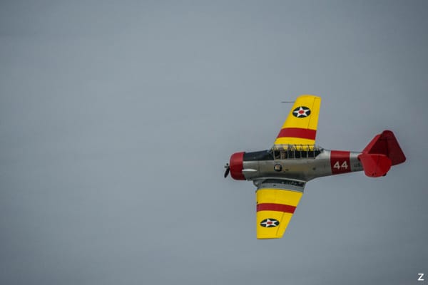 DSC_5773